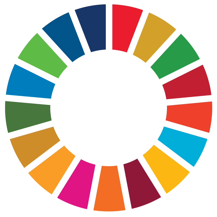 Read more about the article What are the Sustainable Development Goals?